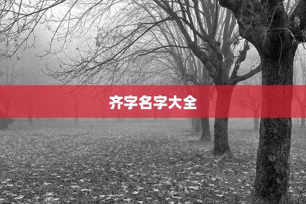 齐字名字大全