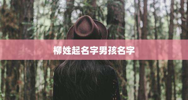 柳姓起名字男孩名字