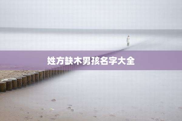姓方缺木男孩名字大全