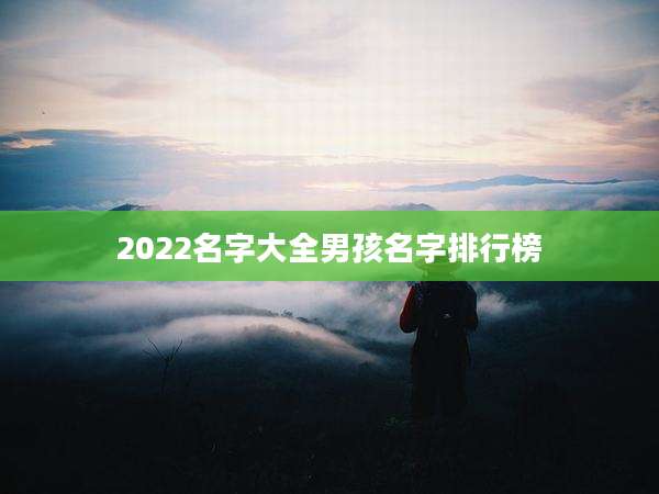 2022名字大全男孩名字排行榜