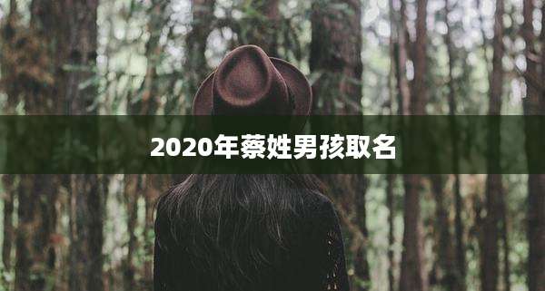2020年蔡姓男孩取名