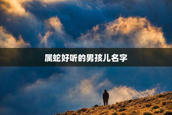 属蛇好听的男孩儿名字