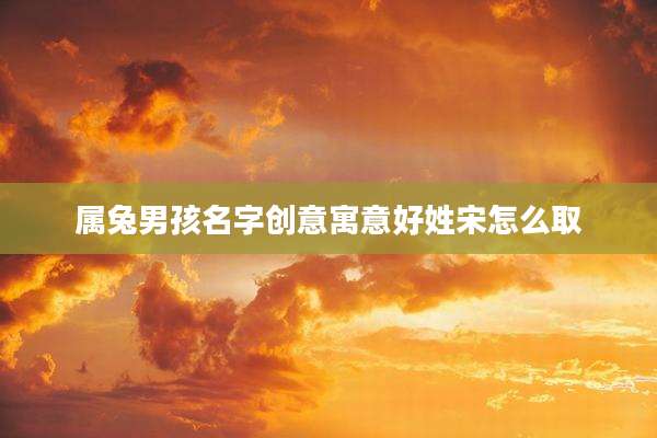 属兔男孩名字创意寓意好姓宋怎么取