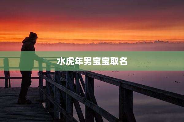 水虎年男宝宝取名