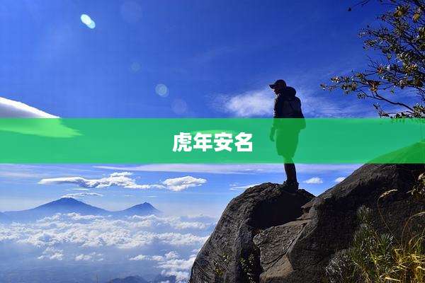 虎年安名