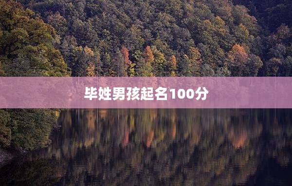 毕姓男孩起名100分