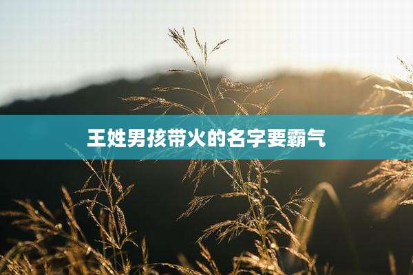 王姓男孩带火的名字要霸气