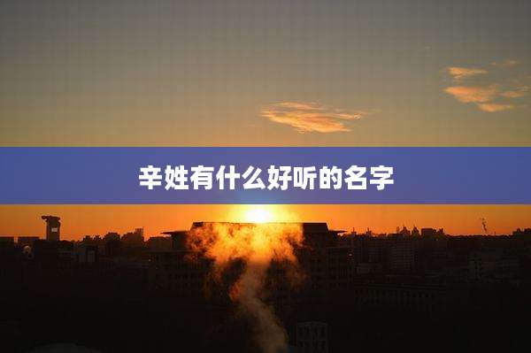 辛姓有什么好听的名字