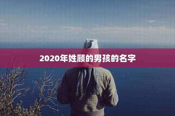 2020年姓顾的男孩的名字