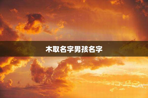 木取名字男孩名字
