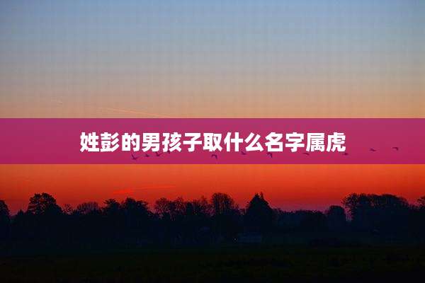 姓彭的男孩子取什么名字属虎