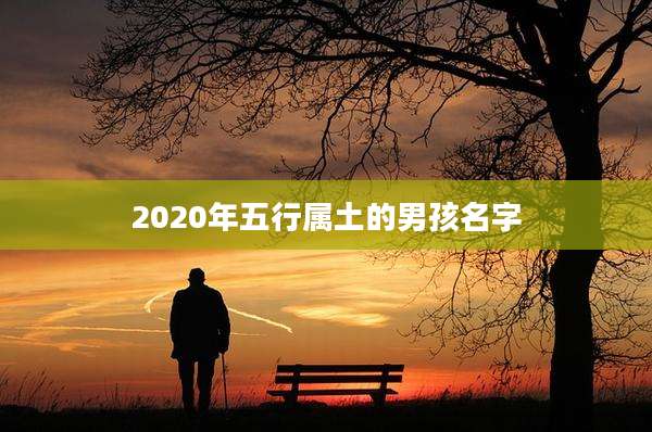 2020年五行属土的男孩名字