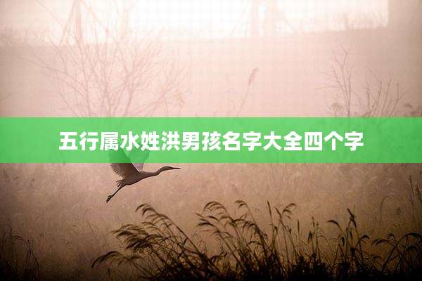 五行属水姓洪男孩名字大全四个字