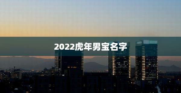 2022虎年男宝名字