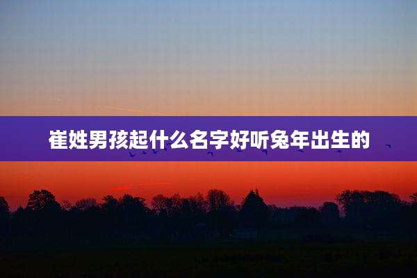 崔姓男孩起什么名字好听兔年出生的