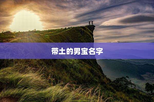 带土的男宝名字