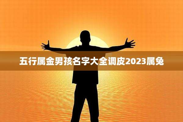 五行属金男孩名字大全调皮2023属兔