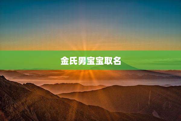 金氏男宝宝取名