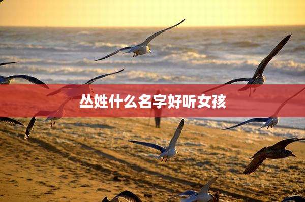 丛姓什么名字好听女孩