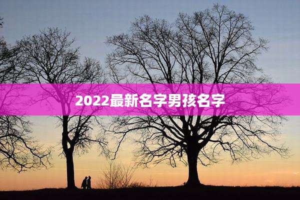 2022最新名字男孩名字