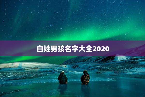白姓男孩名字大全2020