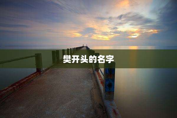 樊开头的名字
