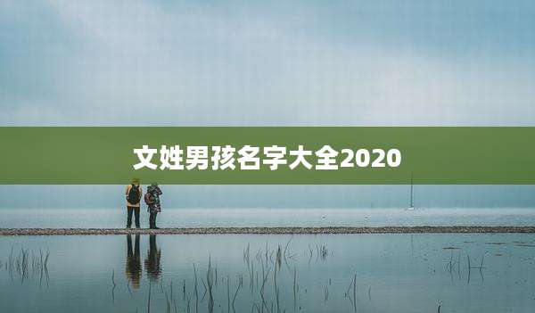 文姓男孩名字大全2020