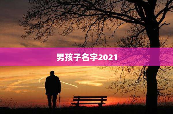 男孩子名字2021