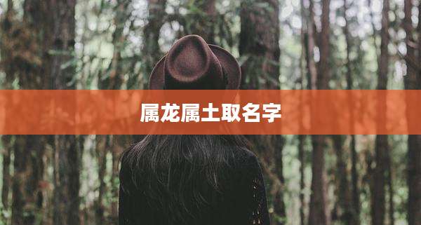 属龙属土取名字
