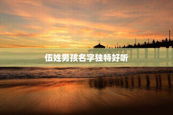 伍姓男孩名字独特好听