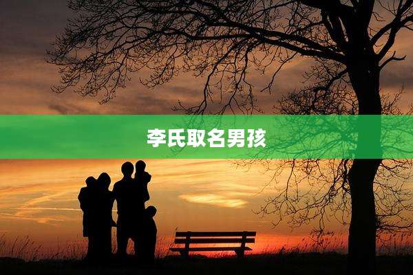 李氏取名男孩