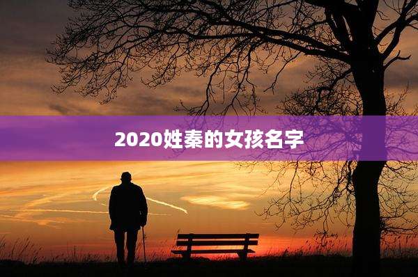 2020姓秦的女孩名字