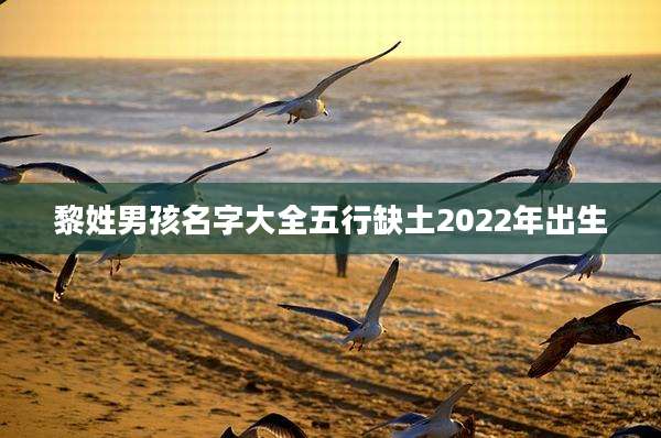 黎姓男孩名字大全五行缺土2022年出生