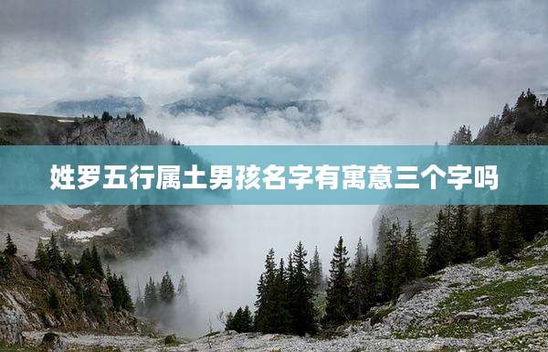 姓罗五行属土男孩名字有寓意三个字吗