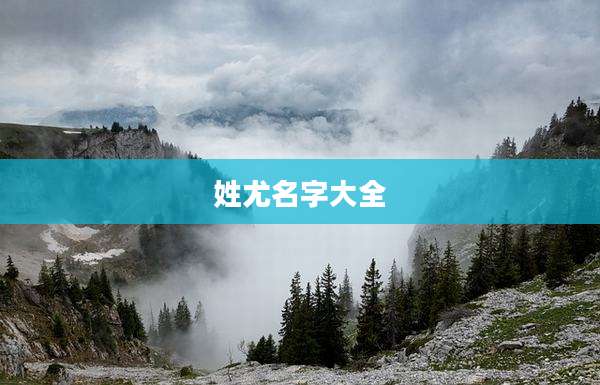 姓尤名字大全