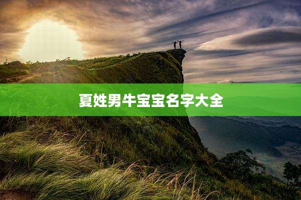 夏姓男牛宝宝名字大全