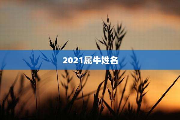 2021属牛姓名