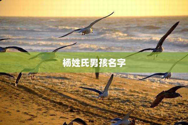 杨姓氏男孩名字