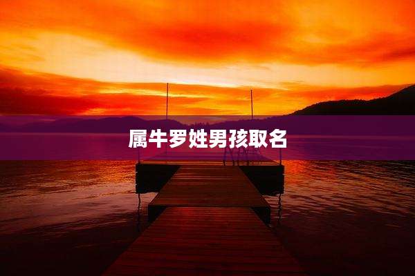 属牛罗姓男孩取名