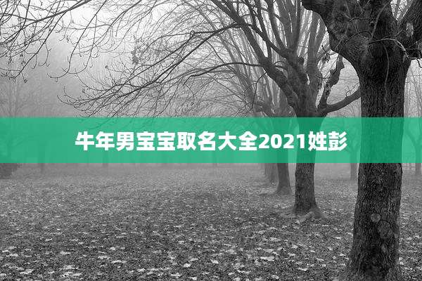 牛年男宝宝取名大全2021姓彭