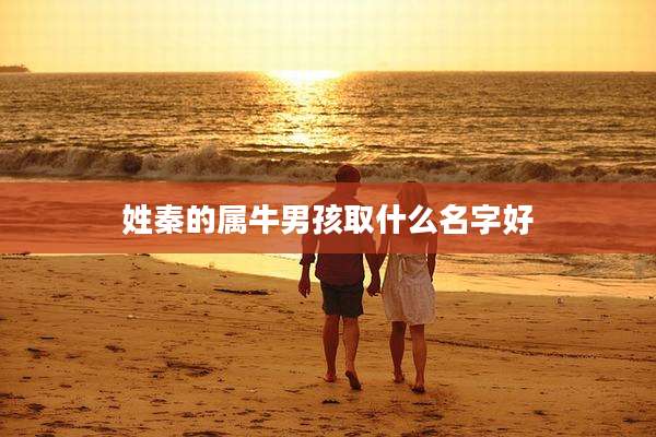 姓秦的属牛男孩取什么名字好