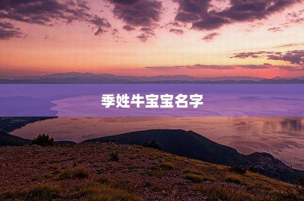 季姓牛宝宝名字