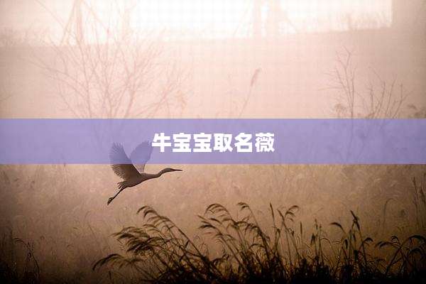 牛宝宝取名薇