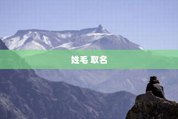 姓毛 取名