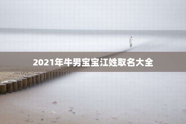 2021年牛男宝宝江姓取名大全