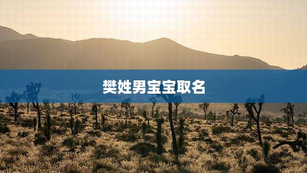 樊姓男宝宝取名