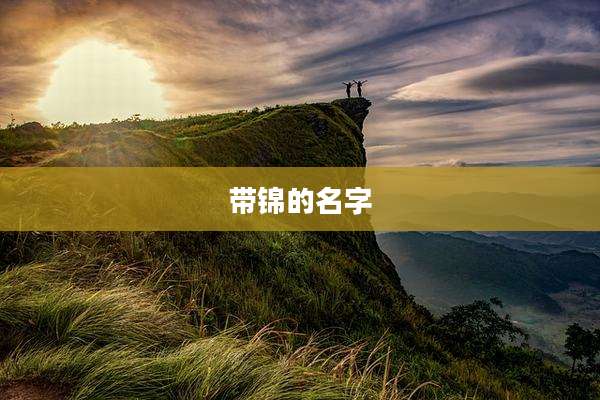 带锦的名字