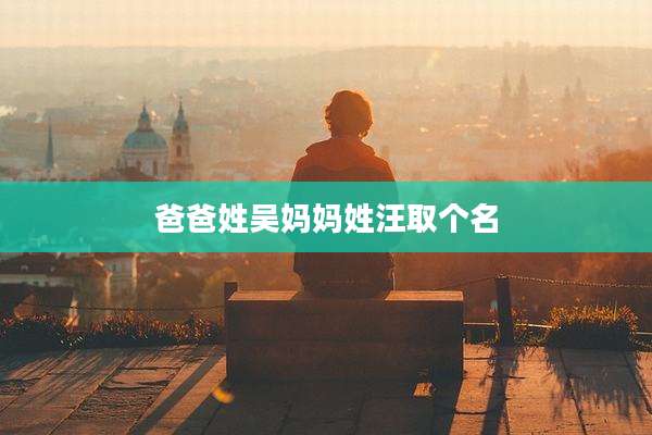 爸爸姓吴妈妈姓汪取个名