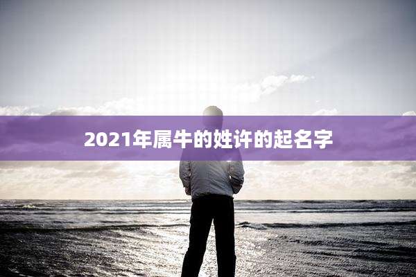 2021年属牛的姓许的起名字