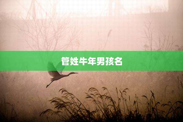 管姓牛年男孩名